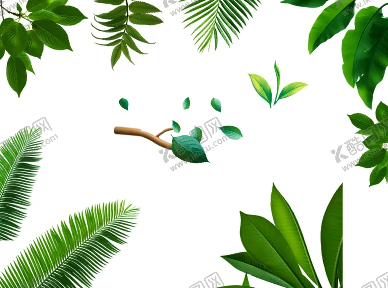 编号：89578401140448536785【酷图网】源文件下载-植物