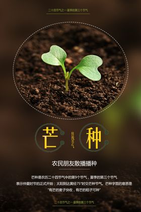 芒种