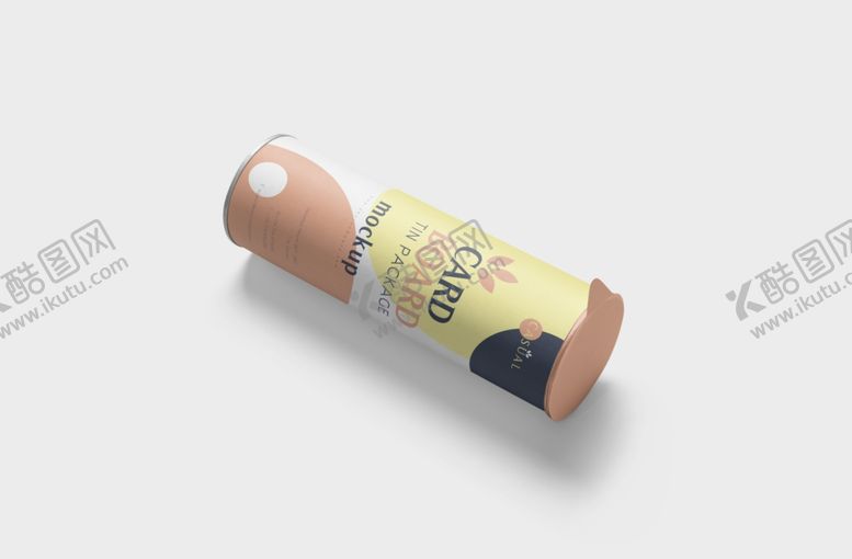 编号：31744609301958266644【酷图网】源文件下载-纸筒包装效果图样机