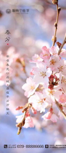 二十四节气海报春分海报