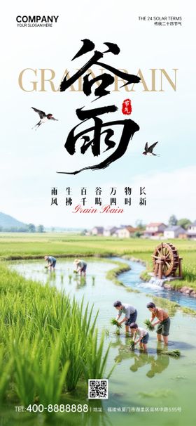 谷雨节气海报