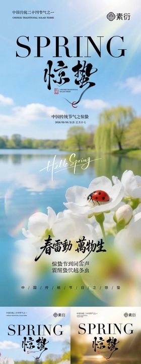 地产惊蛰花朵摄影系列海报
