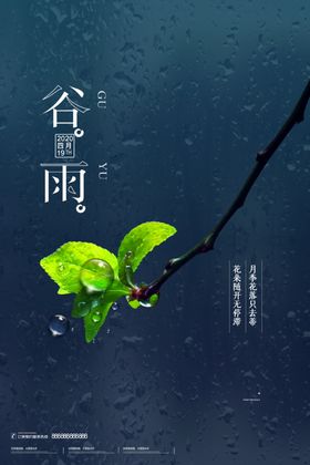 谷雨
