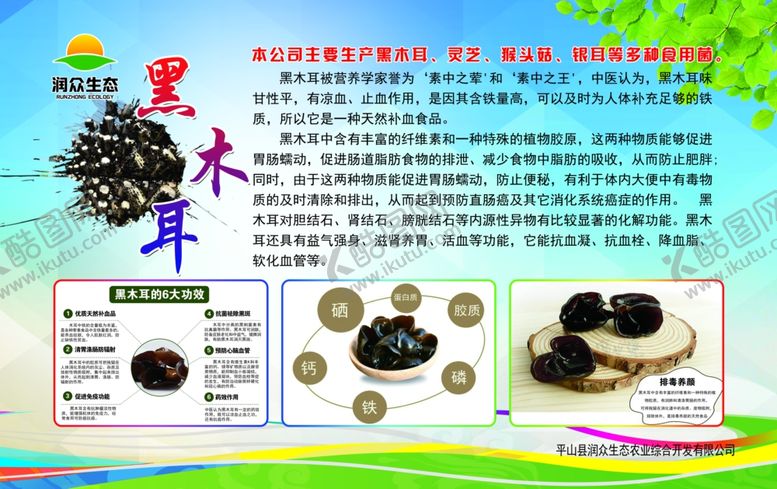 编号：89254204191355032344【酷图网】源文件下载-黑木耳