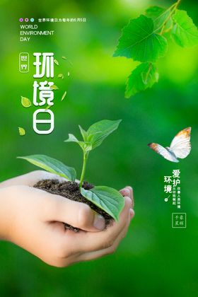 环境日