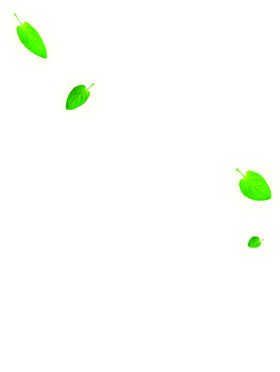 绿色植物