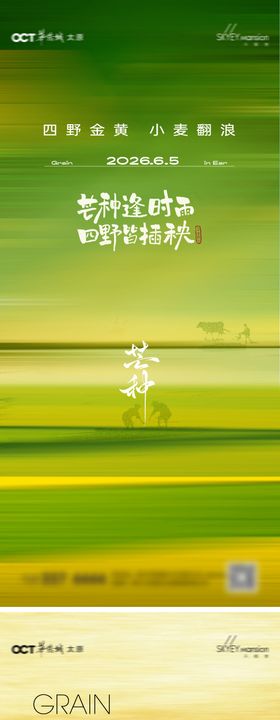 芒种系列海报