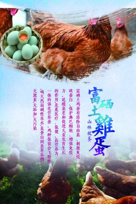 富硒土鸡蛋山林放样养殖海报