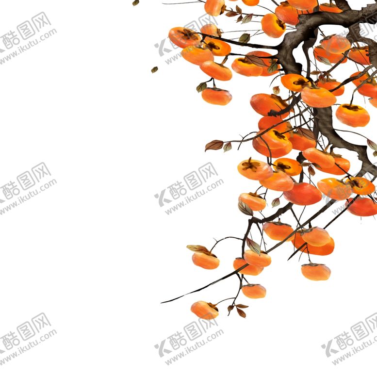 编号：29499302182008115483【酷图网】源文件下载-柿子素材