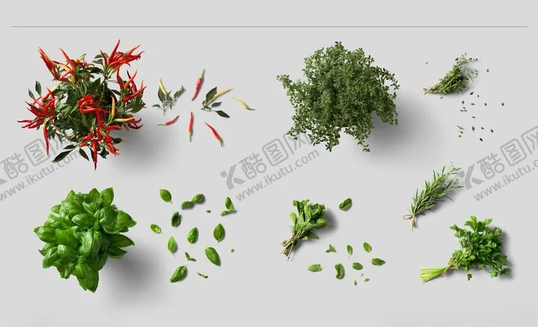 编号：39956701261330219893【酷图网】源文件下载-蔬菜