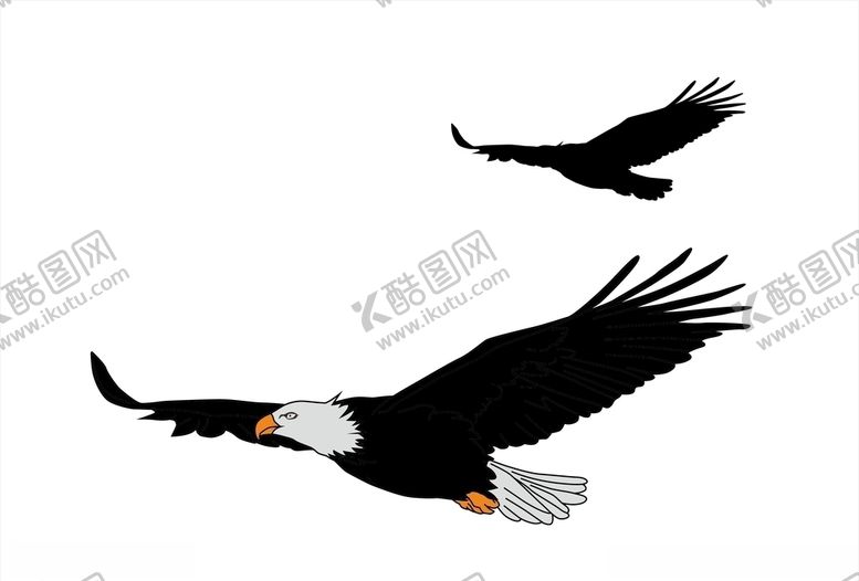 编号：30767210181358186666【酷图网】源文件下载-老鹰