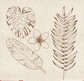 矢量动物矢量植物插画手绘海报枝头鸟花卉