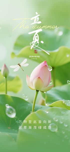 立夏质感节气海报