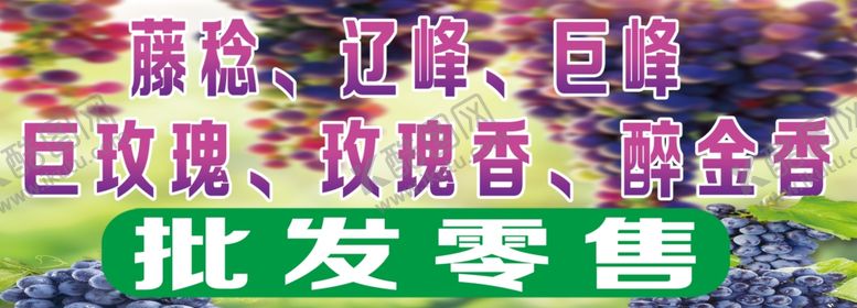 编号：46006609251614582718【酷图网】源文件下载-葡萄批发