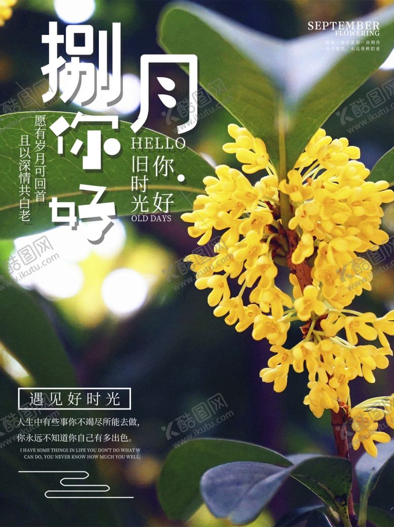 编号：16748209280623037383【酷图网】源文件下载-八月