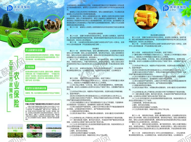 编号：70360002130339594823【酷图网】源文件下载-保险三折页
