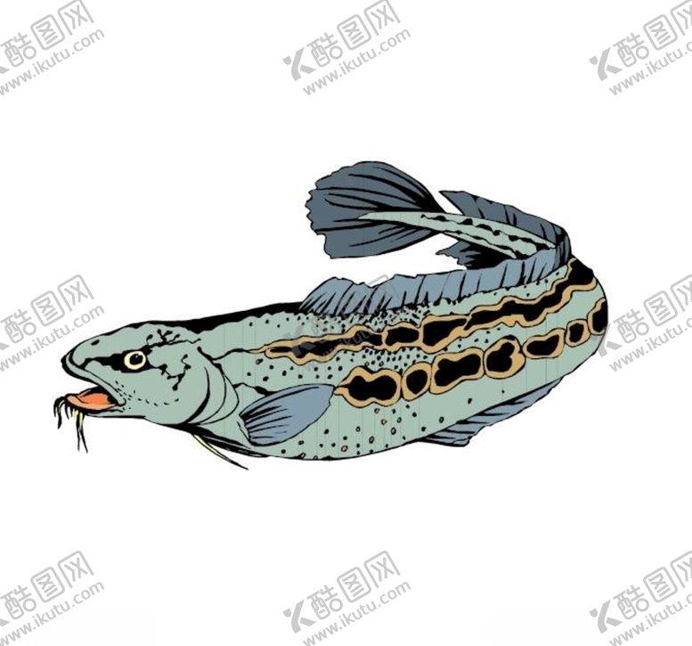 编号：47444905102056274386【酷图网】源文件下载-怪鱼