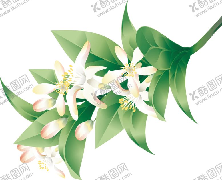 编号：65597310051106565070【酷图网】源文件下载-鲜花素材