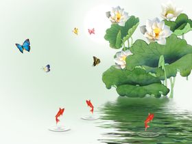荷花