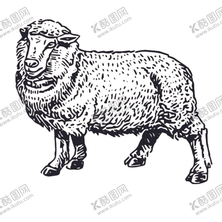 编号：74915209300218566744【酷图网】源文件下载-家禽动物线稿绘画图案
