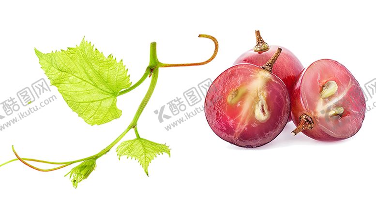 编号：59052709260019496181【酷图网】源文件下载-水果