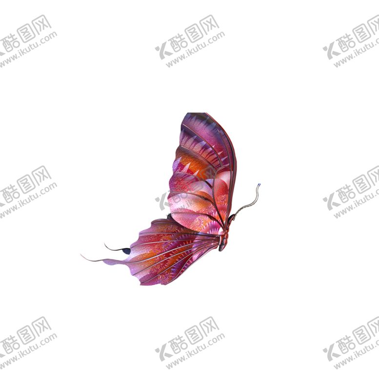 编号：91841710242002478405【酷图网】源文件下载-蝴蝶素材