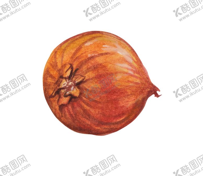 编号：70096409231649509426【酷图网】源文件下载-洋葱