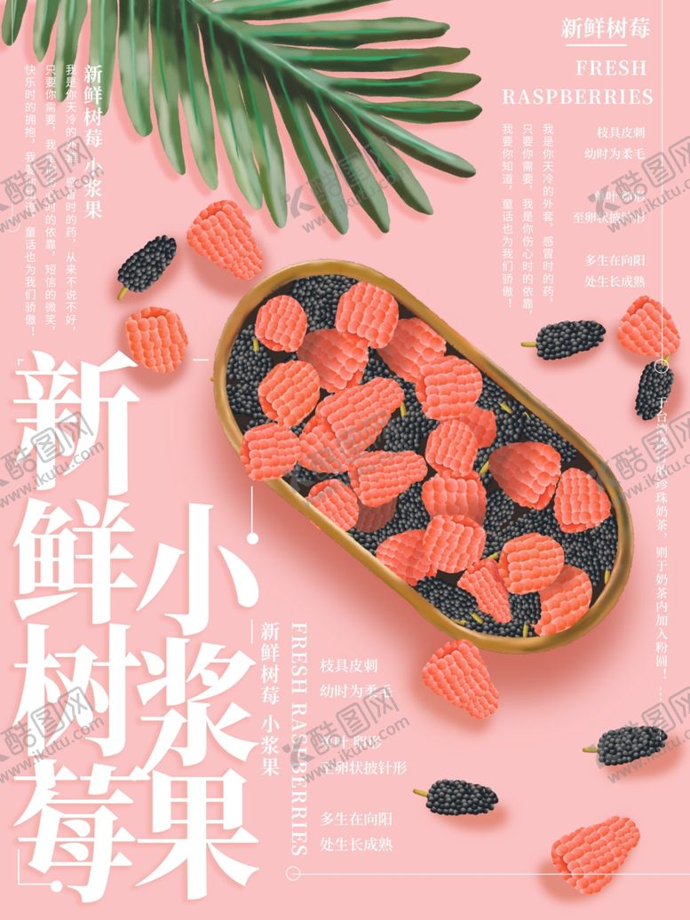 编号：57984010291723553409【酷图网】源文件下载-新鲜树莓