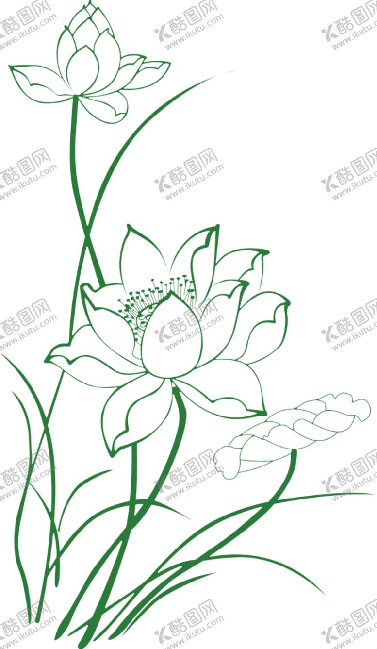 编号：36068506261034391856【酷图网】源文件下载-荷花