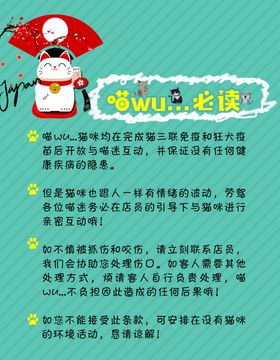 国潮猫