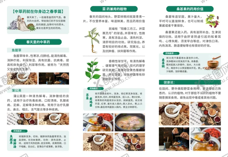 编号：80243007021631111047【酷图网】源文件下载-中医养生三折页