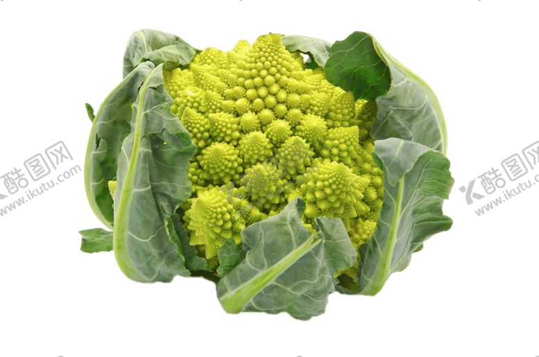 编号：37832409210602274140【酷图网】源文件下载-宝塔花菜图片