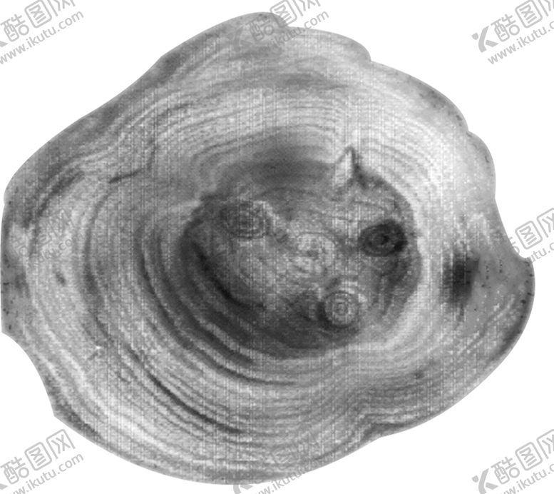 编号：34606109160523046693【酷图网】源文件下载-木纹素材