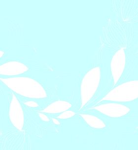 婚礼背景