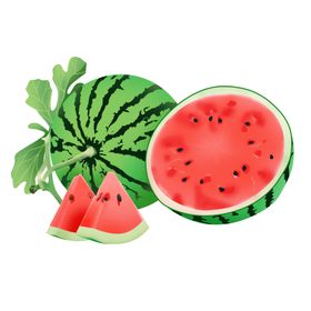 西瓜图片