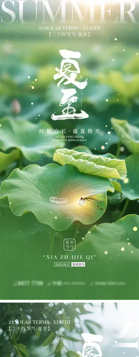 夏至节气宣传海报