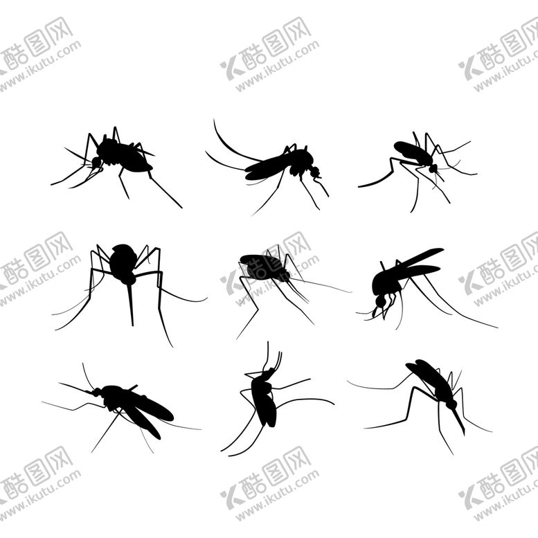 编号：75126910060159382359【酷图网】源文件下载-蚊子相关