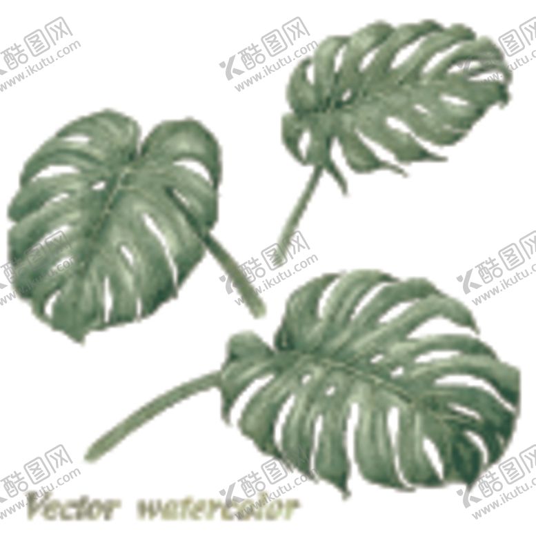 编号：63574110291915568452【酷图网】源文件下载-树叶素材