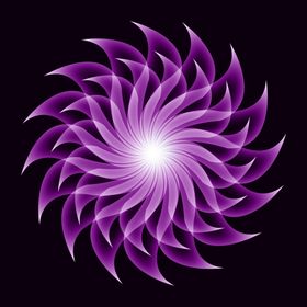 炫彩花瓣