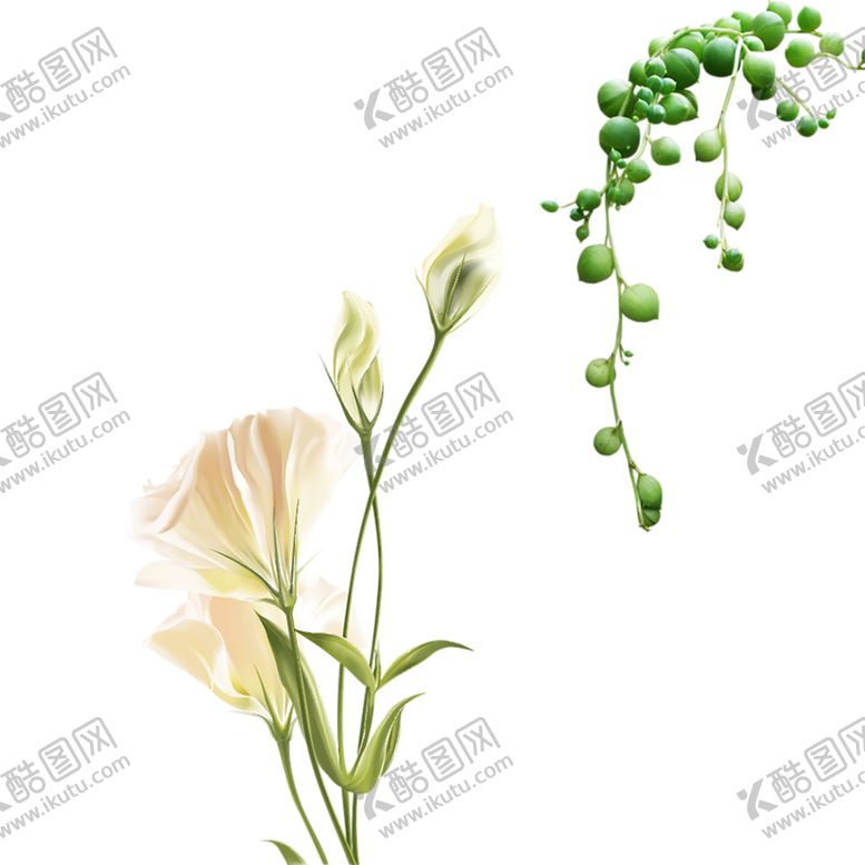 编号：27408207041826421163【酷图网】源文件下载-鲜花素材