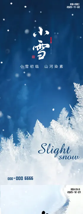 大雪简约线条滑雪节气海报