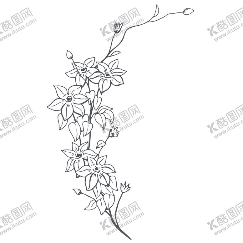 编号：54384507022125135678【酷图网】源文件下载-手绘植物