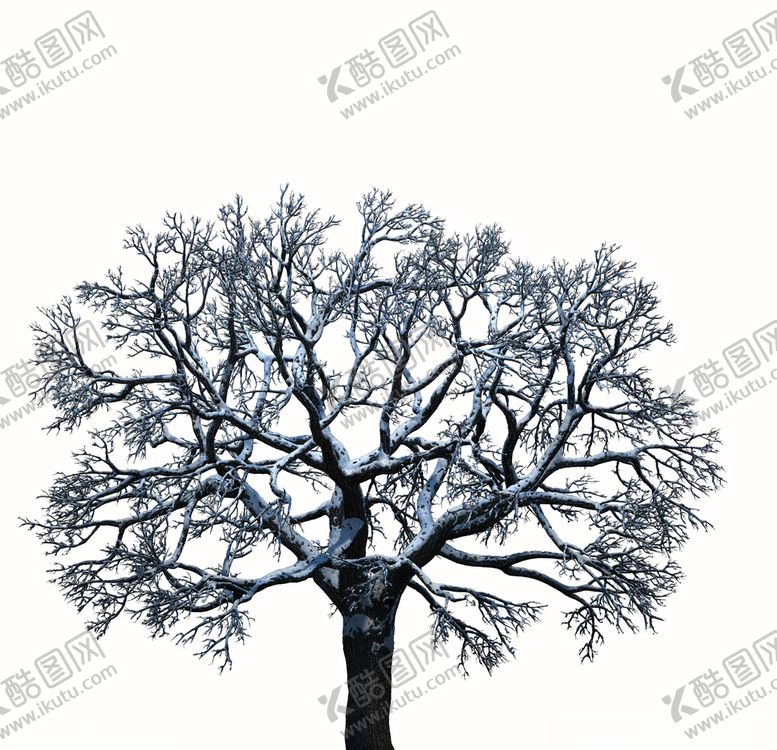 编号：69756910180124577081【酷图网】源文件下载-树林