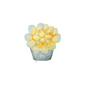 水彩植物
