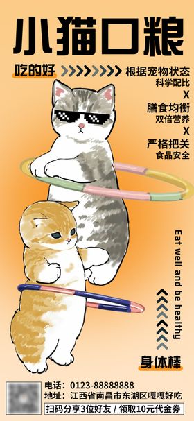 宠物猫零食口粮促销海报