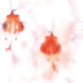 数码印花扎染小碎大牌