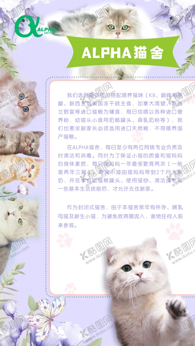 编号：51899103310713337708【酷图网】源文件下载-简约大气宠物猫舍海报