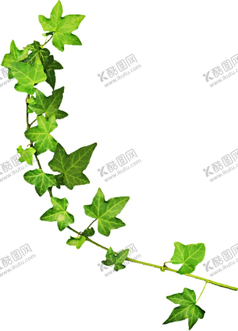 编号：66382507092046413897【酷图网】源文件下载-花边素材