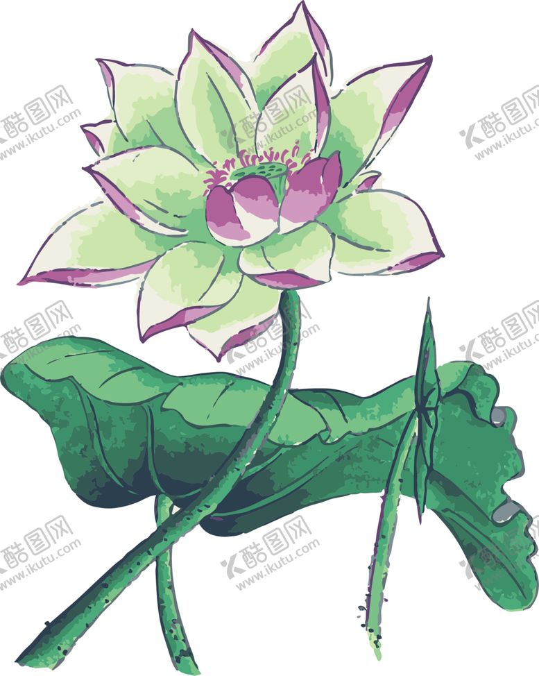 编号：58339104090106441747【酷图网】源文件下载-手绘荷花素材