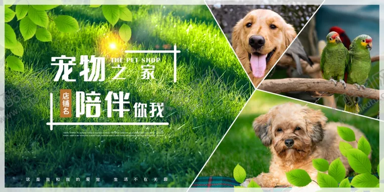 编号：62316306301854239709【酷图网】源文件下载-宠物之家